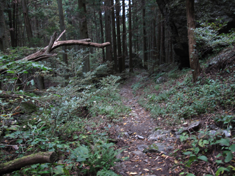 20151021hike (389)